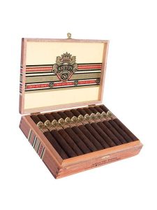 Ashton VSG Robusto