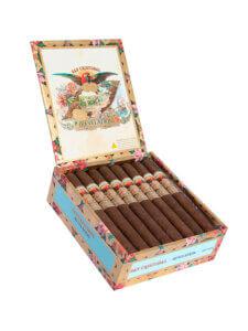 San Cristobal Revelation Triumph