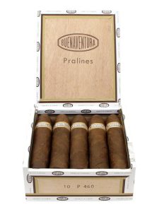 Curivari Buenaventura Pralines P460 Cigars