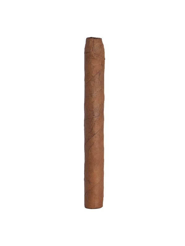 Ashton Senoritas Connecticut Cigars