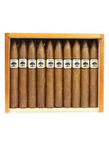 Charter Oak Habano Torpedo