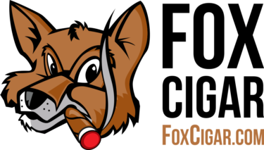 fox-big-logo