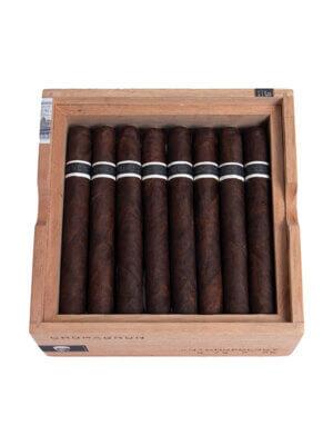 RoMa Craft CroMagnon Anthropology