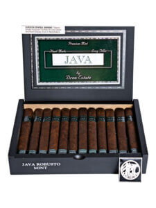 Java Mint Robusto