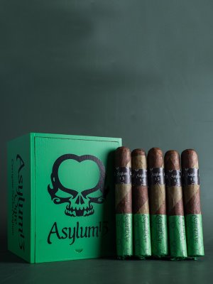 Asylum 13 Ogre 60 x 6