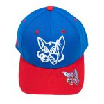 Fox Patriot Curved Brim Hat