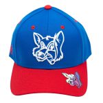 Fox Patriot Curved Brim Hat