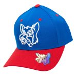 Fox Patriot Curved Brim Hat