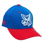 Fox Patriot Curved Brim Hat