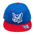 Fox Patriot Flat Brim Hat