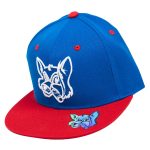 Fox Patriot Flat Brim Hat