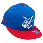 Fox Patriot Flat Brim Hat