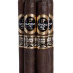 Aganorsa Leaf Rare Leaf Reserve Maduro Robusto