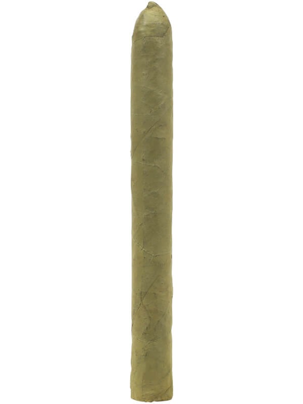 Arturo Fuente Curly Head Claro
