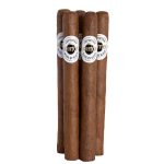 Ashton Classic 8-9-8