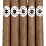 Ashton Classic Majesty