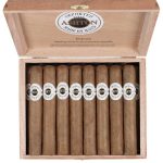 Ashton Classic Majesty
