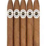 Ashton Classic Sovereign