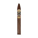 Ashton ESG 22 Year Salute