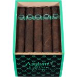 Asylum 13 Cool Brew 50 x 5