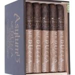 Asylum 13 Medulla Maduro 52 x 6