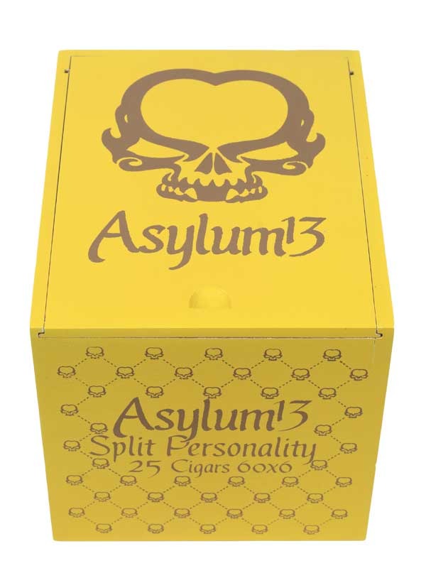 Asylum Split Personality 60 x 6