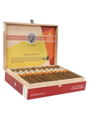 AVO Syncro Nicaragua Fogata Toro