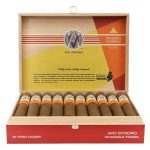 AVO Syncro Nicaragua Fogata Toro