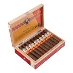 AVO Syncro Nicaragua Fogata Robusto