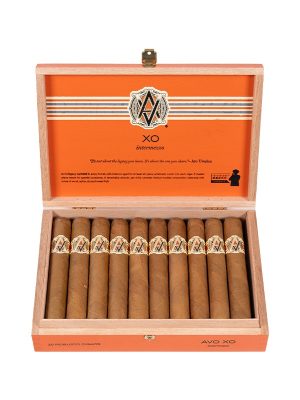 AVO XO Intermezzo Robusto
