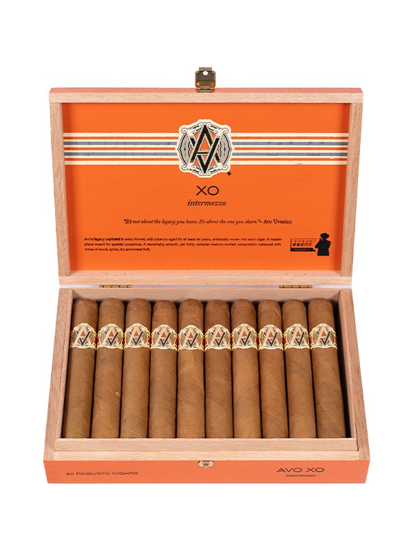 AVO XO Intermezzo Robusto
