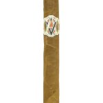 AVO XO Notturno Tubo