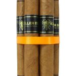 Black Works Studio Killer Bee Connecticut Petite Corona