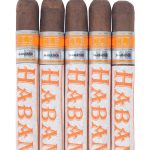 C.L.E. Habano 50 x 5