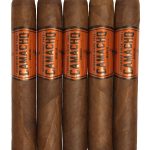 Camacho Broadleaf Gordo