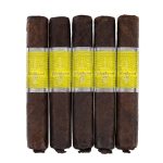 CAO Flathead V450 Sparkplug