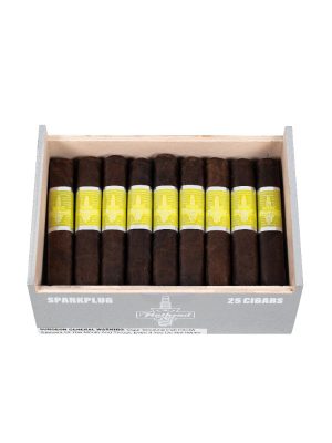 CAO Flathead V450 Sparkplug