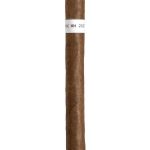 Cavalier x Fox Cigar The Coliseum