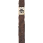 Charter Oak CT Broadleaf Petite Corona