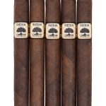 Charter Oak CT Broadleaf Toro