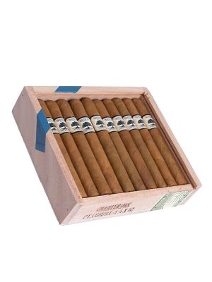 Charter Oak CT Shade Petite Corona