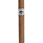 Charter Oak CT Shade Petite Corona