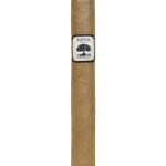 Charter Oak CT Shade Toro