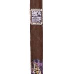 ChìMolly Pioneer Robusto E