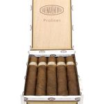 Curivari Buenaventura Pralines P554