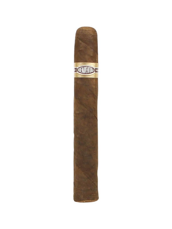Curivari Buenaventura Pralines P554