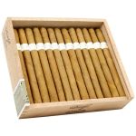 Davidoff Signature Ambassadrice