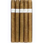 Davidoff Signature Ambassadrice Pack