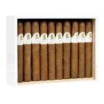 Davidoff Winston Churchill Petit Corona
