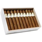 Davidoff Winston Churchill Robusto